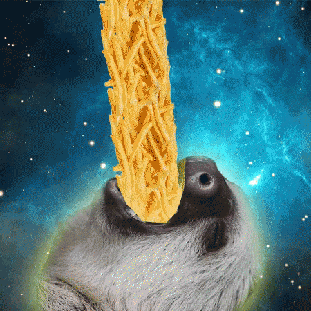 Slow GIF - Sloth Slow Fries GIFs
