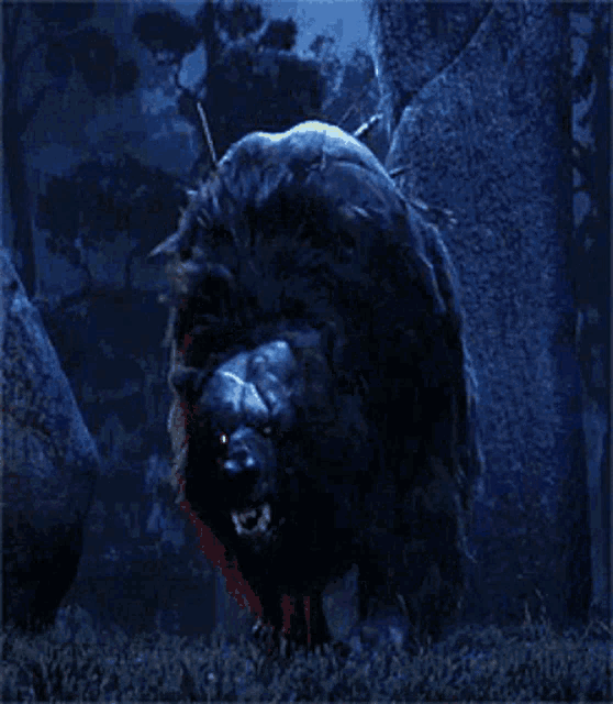 a bear with a spear in its mouth is walking through a dark forest