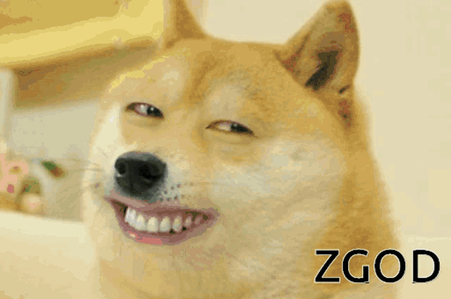a dog with zgod written on the bottom of it