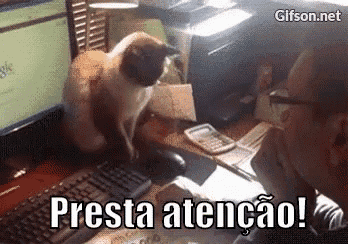 a cat sitting on top of a desk next to a man with the words presta atenção written on it