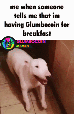 a meme of a white dog with the caption " me when someone tells me that im having glumbocoin for breakfast "