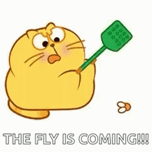 Fly Bug GIF - Fly Bug Flying GIFs