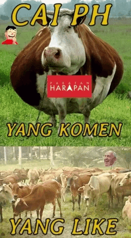 a picture of a cow with a harapan logo on it
