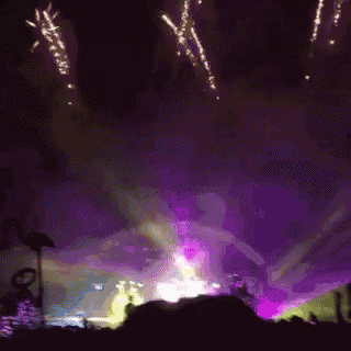 flamingos are silhouetted against a fireworks display at a music festival
