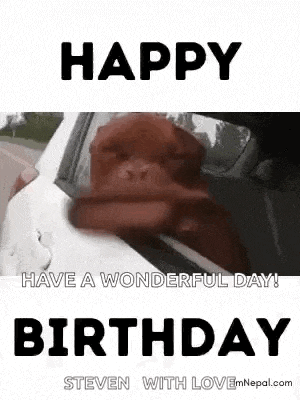 a dog is sticking its head out of a car window and saying happy birthday .