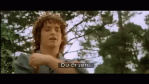 Frodo Lord Of The Rings GIF - Frodo Lord Of The Rings Sen GIFs