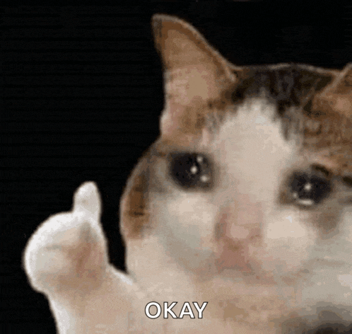 a cat is giving a thumbs up and the word okay is on the bottom of the image .