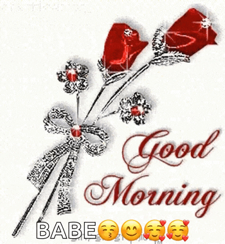 a good morning babe greeting card with a bouquet of red roses .
