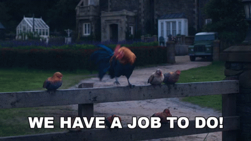 We Have A Job To Do Jw Rooster GIF - We Have A Job To Do Jw Rooster Peter Rabbit2the Runaway GIFs