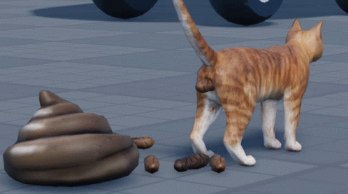 Can Cat Poopin GIF - Can Cat Poopin Cat Pooping GIFs