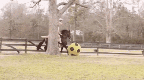 Dinosaur Playing Soccer On A Horse GIF - Dinosaur Horse Football GIFs