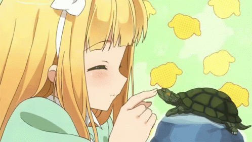 Anime Turtle GIF - Anime Turtle GIFs