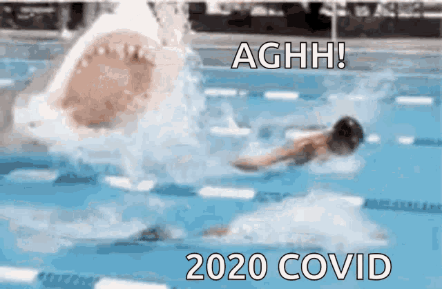 a shark is attacking a swimmer in a pool with the words aghh 2020 covid written on the bottom