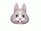Rabbit Emoji GIF - Rabbit Emoji GIFs