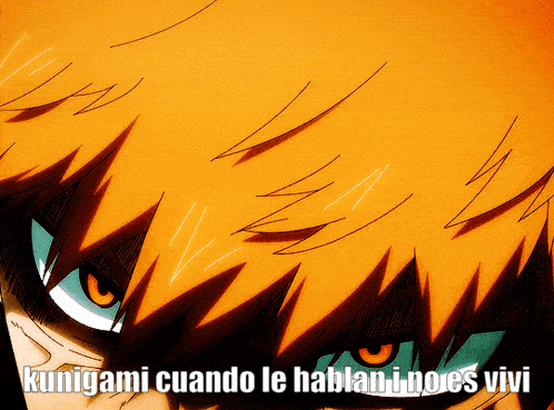 a close up of a person 's face with the words kunigami cuando le hablan goes vivi written below it