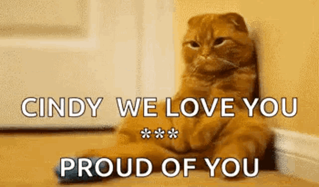 a cat is sitting in front of a door with the words `` cindy we love you proud of you '' written on it .