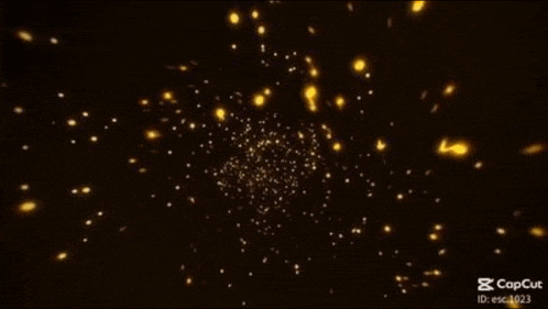 a video that says " bot forge " on it