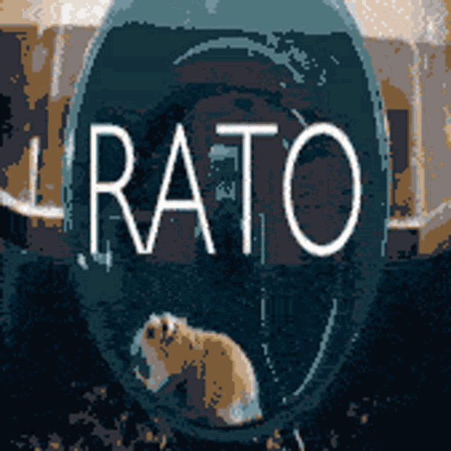 Rato Dark GIF - Rato Dark Kizzuy GIFs