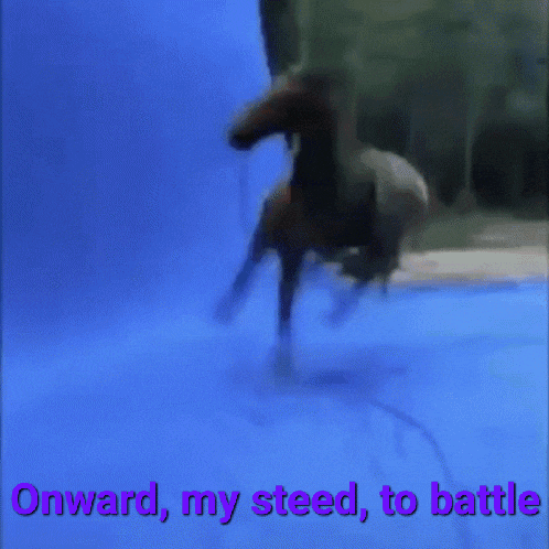 onward my steed to battle written on a blue background