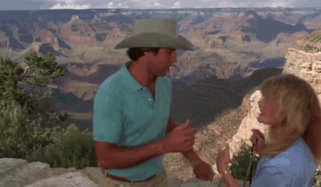 Vacation Griswold GIF - Vacation Griswold Grand Canyon GIFs