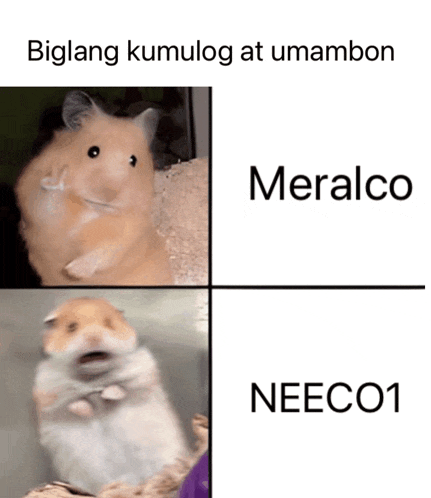 a picture of a hamster next to a picture of a hamster with the caption meralco