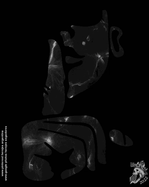 a black background with a silhouette of a face and the website www.pinterest.com