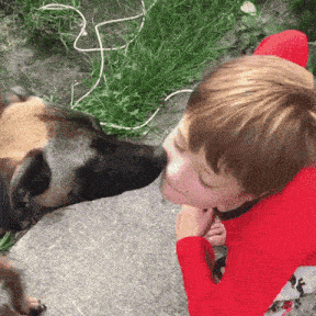 a young boy in a red shirt is being kissed by a dog