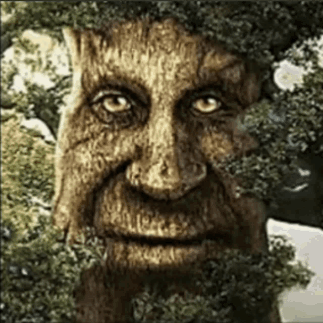 a painting of a man 's face with a tree growing around it