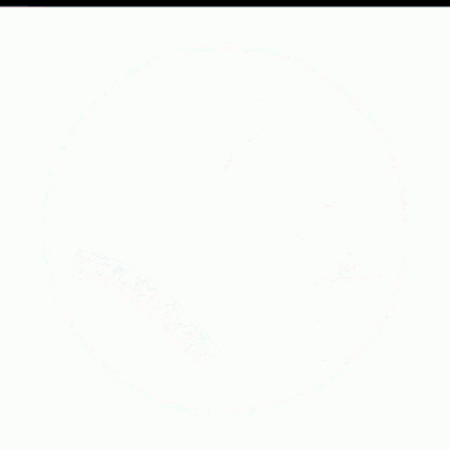 a blue circle with a red green and white circle in the middle
