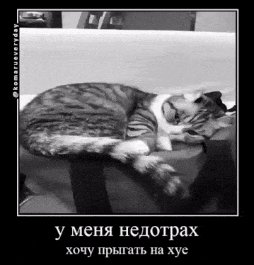 a cat laying on a couch with a caption in russian