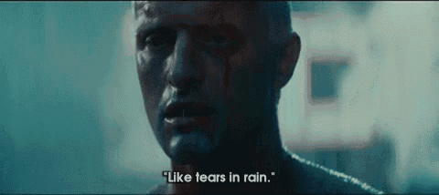 And There'S A Lot Of Rain. GIF - Ridely Scott Blade Runner Rutger Hauer GIFs
