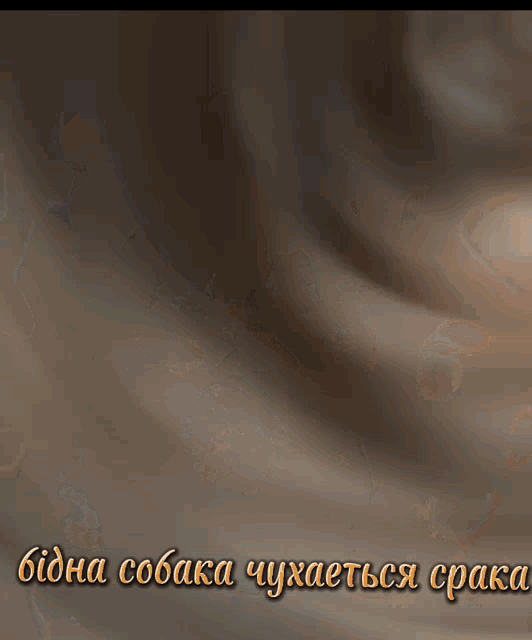 a blurry picture of a dog with the words " bidha cobaka chuxaetsja cpaka " written in gold