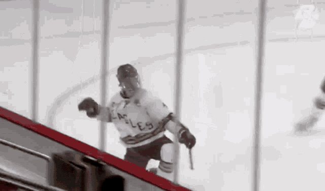 a hockey player wearing a jersey that says eagles