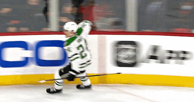 Dallas Stars Roope Hintz GIF