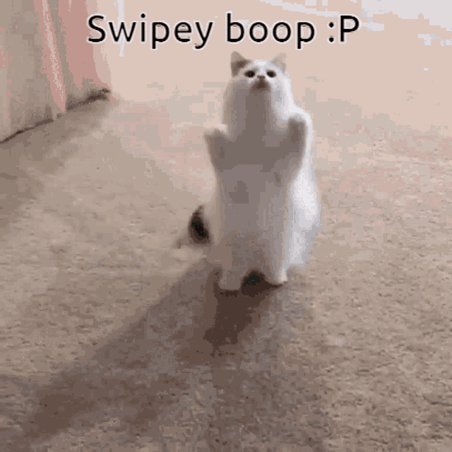 Swipey Boop Swipey Bup GIF - Swipey Boop Swipey Bup Ollie Boop GIFs