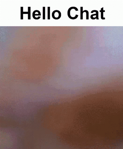 Hello Chat Bnuy GIF - Hello Chat Bnuy Bnuuy GIFs