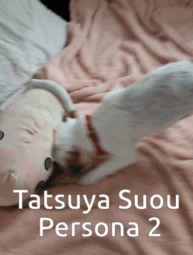 a picture of a cat laying on a bed with the words tatsuya suou persona 2 below it