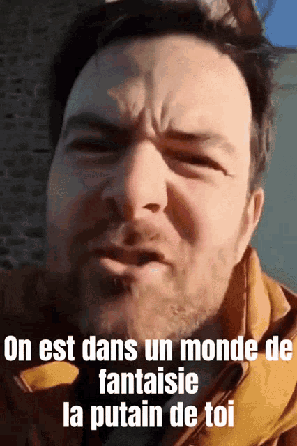 a man with a beard is making a funny face with the words " en est dans un monde de fantaisie la putain de toi