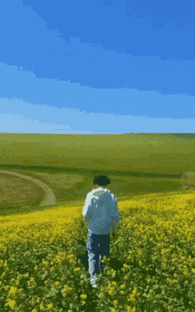 a person in a field of yellow flowers with a blue sky in the background