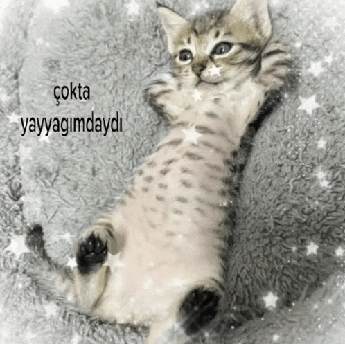 a kitten laying on a blanket with the words " çokta yayyagimdaydi " on the bottom