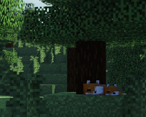 Minecraft Forest GIF - Minecraft Forest Foxes GIFs