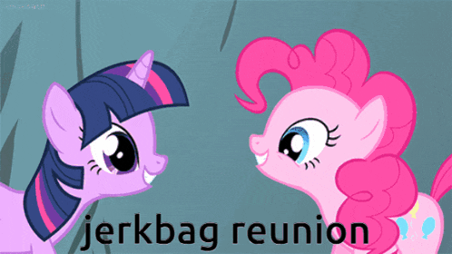 twilight sparkle and pinkie pie are looking at each other with the words jerkbag reunion written below them