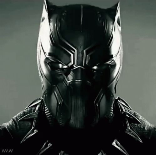 Black Panther Marvel GIF - Black Panther Marvel Superhero GIFs