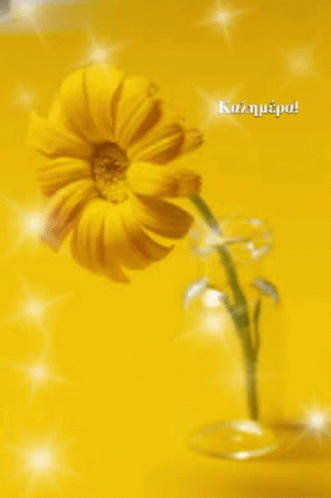 καλημερα Flower GIF - καλημερα Flower Yellow GIFs