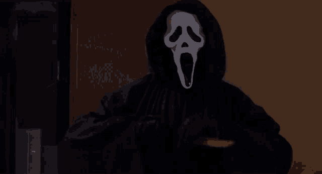 a person is wearing a scream mask and a hood .