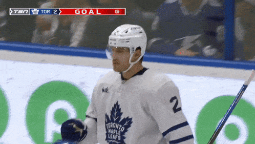 a toronto maple leafs hockey player wearing number 2