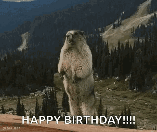 a groundhog standing on its hind legs with the words happy birthday