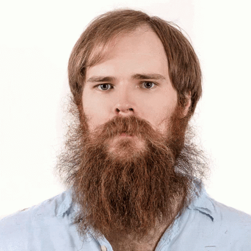 Beardbrand GIF - Beardbrand GIFs