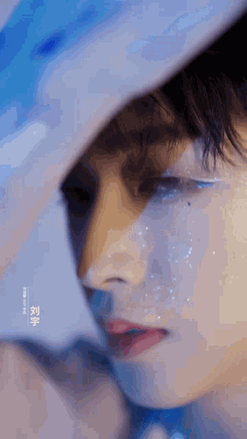 a close up of a person 's face with chinese writing on the bottom right