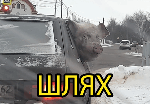 свинья свинка GIF - свинья свинка винкс GIFs